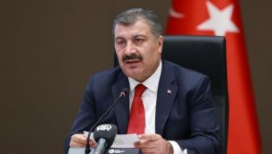 Bakan Koca, vaka sayısı en çok azalan ve artan illeri açıkladı