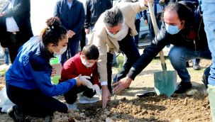 Başkan Sandal daha yeşil bir Bayraklı için fidan dikti