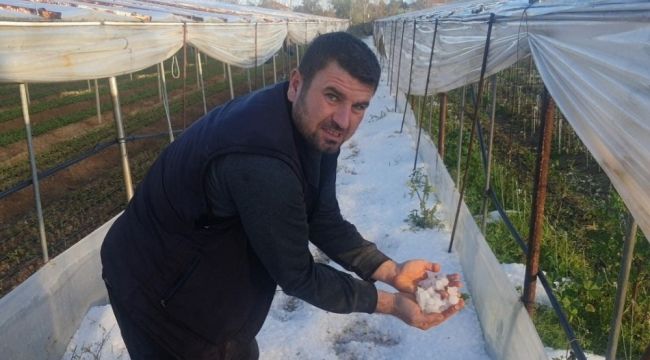 Çeşme'de hortum felaketinin ardından Urla'yı dolu vurdu: Seralar delik deşik