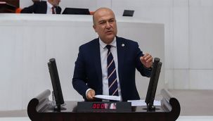 CHP’li Bakan: “İklim krizi, sadece o kutup ayısının sorunu değil”