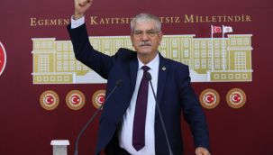 CHP'li Beko isyan etti: 'Kozak Yaylası’nda 8 bin 882 fıstık çamını kurban etmeyin!’