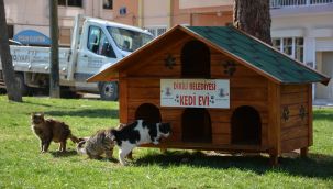 Dikili'de can dostlara sıcak yuva