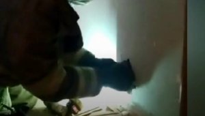 İzmir'de duvarda sıkışan kedi itfaiye tarafından kurtarıldı