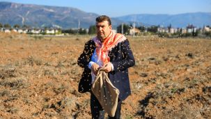 Seferihisar'da Atalık Karakılçık Buğday ekimi başladı