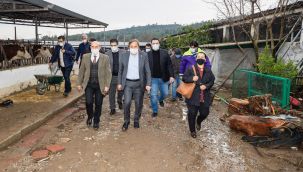 Soyer'den Menderes çıkartması: