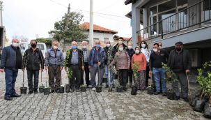Buca Belediyesi’nden üreticiye 13 çeşit meyve fidanı