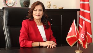 CHP'li Oğuzhan: