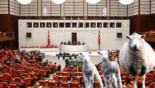 CHP'li Tanal isyan etti:
