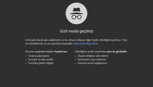 Gizli modda takibi sürdüren Google'a 5 milyar dolarlık dava