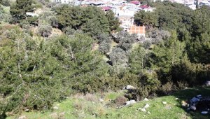 İzmir'de ormanlık alanda kafatası ve kemik parçaları bulundu