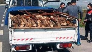 İzmir'de yaşlı kadını evinde gasp eden 3 şüpheli tutuklandı