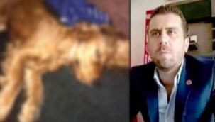 Köpeğe cinsel istismarda yeni gelişme!