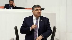 Milletvekili Sındır,