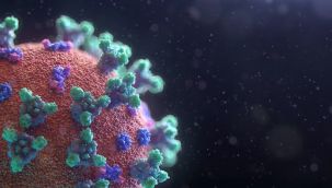 Savaşın kazananı rhinovirüs: ‘Corona’yı alt etmeyi başardı