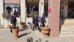 Torbalı'da 70 adet küçükbaş hayvan çalan 2 şüpheli yakalandı