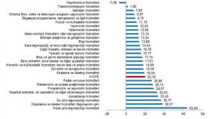 TÜİK: Hizmet üretici fiyatları şubat ayında yıllık yüzde 20,16 arttı