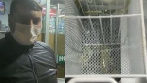 Tüm dondurmaları çalınan esnaf: Sezon çok hızlı başladı