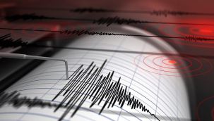 Yeni Zelanda'da 8.1 büyüklüğünde deprem; tsunami uyarısı yapıldı!