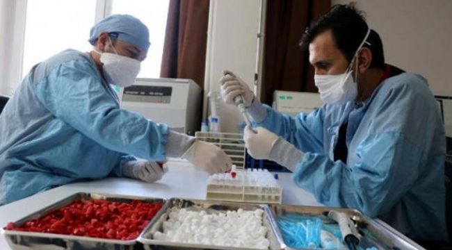 Yerli aşıda son durum: Şu tarihte Faz-2 tamamlanacak!