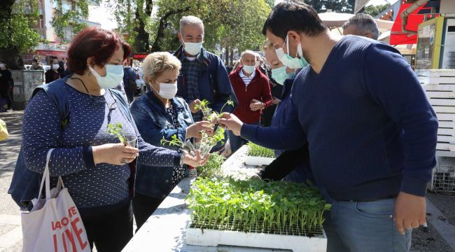 Buca’da balkon tarımı için 100 bin fide