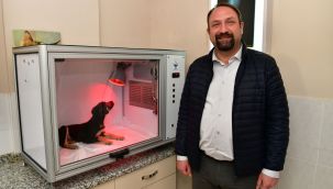 Çiğli Belediyesi’nden hayvan dostu proje: Yoğun bakım ünitesi