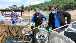 Denizi olmayan şehirde üretiliyor! Tüm dünyaya ihraç ediliyor