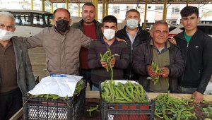 Geçen yıl pandeminin vurduğu baklayı bu yıl don vurdu