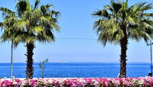 İzmir çiçek açtı