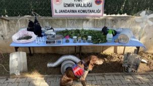 İzmir'de jandarmadan zehir baskınları: 3 tutuklama