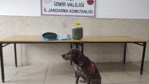 İzmir'de uyuşturucu satıcısı 2 şüpheli gözaltına alındı