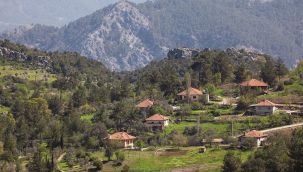 ‘Kırsal mahalle’ çiftçiye yarayacak