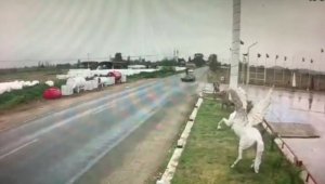Tire'de otomobil motosiklete çarptı: 1 yaralı