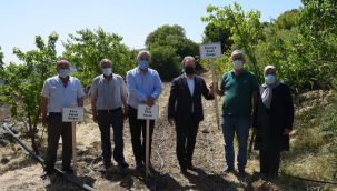 Bornova’da hedef 500 bin tohum