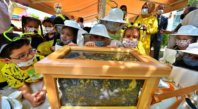 Büyükşehir'den Dünya Arı Günü’nde farkındalık etkinliği
