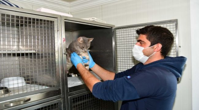 Can dostlar Narlıdere Belediyesi'ne emanet!