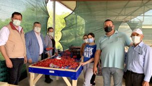 CHP'li Sındır çiftçilerle buluştu: 'Kiraz üreticimiz yine sahipsiz'