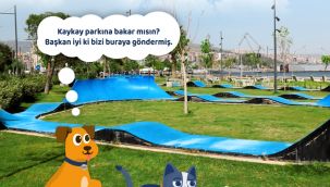 Gaziemir’in sevimli dostları sosyal medyada