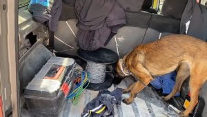 Narkotik Dedektör köpeği 'MİA'dan zehir tacirlerine geçit yok