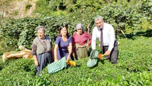 Serter’den çiftçiler günü mesajı: 'Çiftçimize hak ettiği desteği ve itibarı vereceğiz'