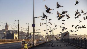 Tam kapanma süresi uzatılacak mı? Gözler Kabine Toplantısı kararlarında!