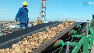 Türkiye Şeker Fabrikaları'na ait 18 arazi satıldı