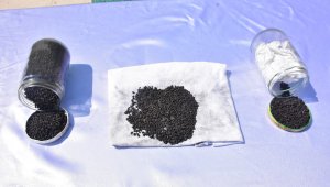 2 bin yıllık ata tohumlarını yurt dışına satmak isterken suçüstü yakalandı