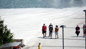 Çanakkale Boğazı’nda müsilaj yeniden artış gösterdi