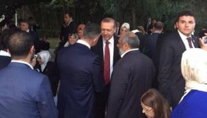 Herkes bunu merak ediyordu: Erdoğan'ın Sedat Peker'in videolarına yaptığı yorum ortaya çıktı!
