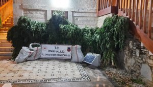 İzmir'de jandarmadan 9 ilçede uyuşturucu operasyonu