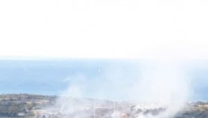 İzmir'de makilik alanda çıkan yangın kontrol altında