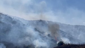 İzmir'de makilik alandaki yangına havadan ve karadan müdahale