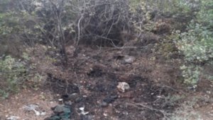 İzmir'de orman yangını çıkarmak isteyen şüpheli, PKKKCK üyesi çıktı