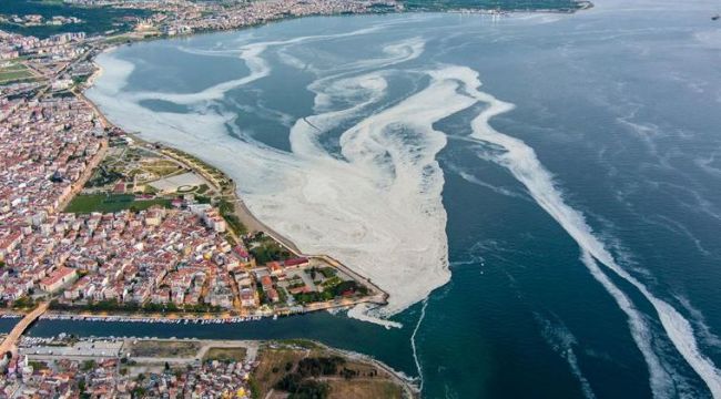 Kabus giderek büyüyor: Deniz salyası Ege'ye akmaya başladı