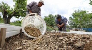Buca kırsalında salep kalkınması
